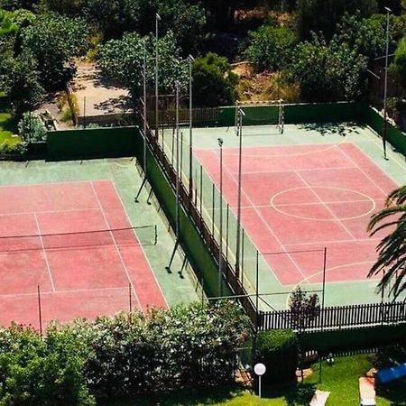Verano Eterno En Mallorca - Alcudia! Eksteriør billede